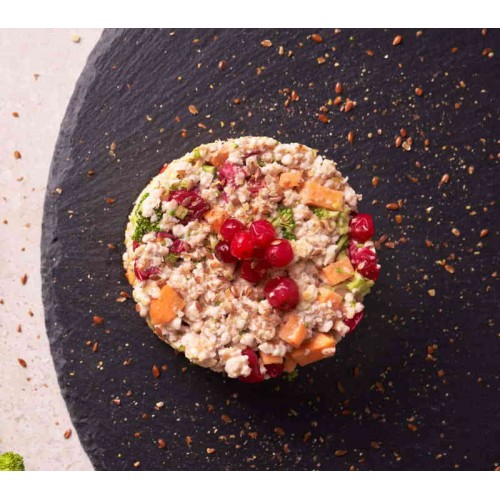 Noma Μαγειρευτή Τροφή για Σκύλους με Γαλοπούλα 500gr