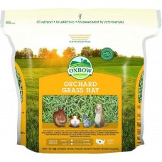 Oxbow Χόρτο Orchard Grass Hay 1,13Kg