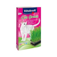 Vitakraft Cat Grass Γρασίδι για Γάτες