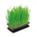 Vitakraft Cat Grass Γρασίδι για Γάτες