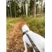 Woolly Wolf Eco Friendly Οδηγός Περιπάτου Woodland Leash (150 cm)
