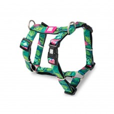 Max & Molly Επιστήθιο H - Harness Tropical/XS