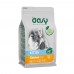 Oasy Low Grain Kitten Chicken 300gr
