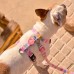  Dashi Σαμαράκι Εκπαιδευτικό Για Σκύλους Front Harness Donut