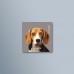 ActionLab Μαγνητάκι Beagle