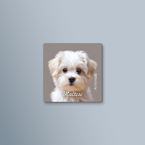 ActionLab Μαγνητάκι Maltese