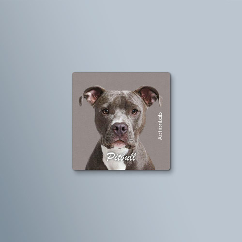 ActionLab Μαγνητάκι Pitbull
