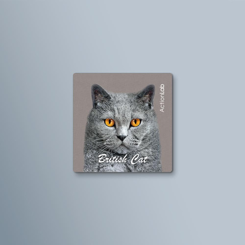 ActionLab Μαγνητάκι British Cat