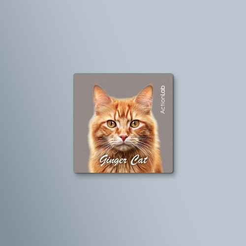 ActionLab Μαγνητάκι Ginger Cat