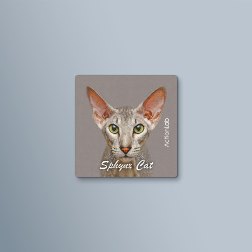 ActionLab Μαγνητάκι Sphynx Cat