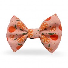 Madpet Παπιγιόν Mandarin