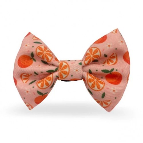 Madpet Παπιγιόν Mandarin