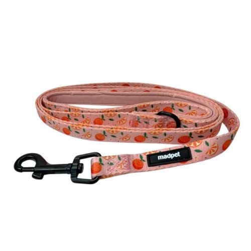 Madpet Οδηγός Mandarin S