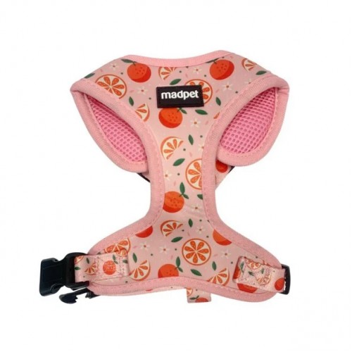 Madpet Επιστήθιο Mandarin XS