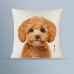 ActionLab Μαξιλάρι Poodle
