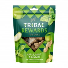 Tribal Rewards Apple & Mint & Ginger 125g